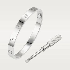 Generic Screw Bracelet with Screwdriver in Silver